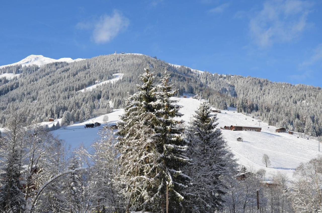Haus Am Sunnfeld Apartment Alpbach Exterior foto